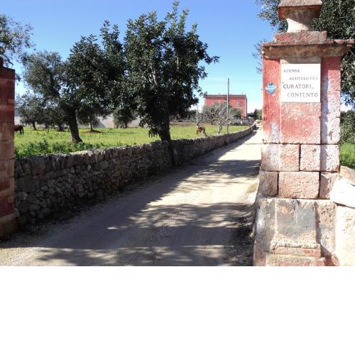 Masseria Curatori