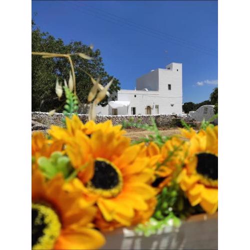 Masseria Helianthus