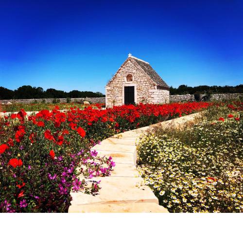 Masseria Nicola Casavola Country Resort