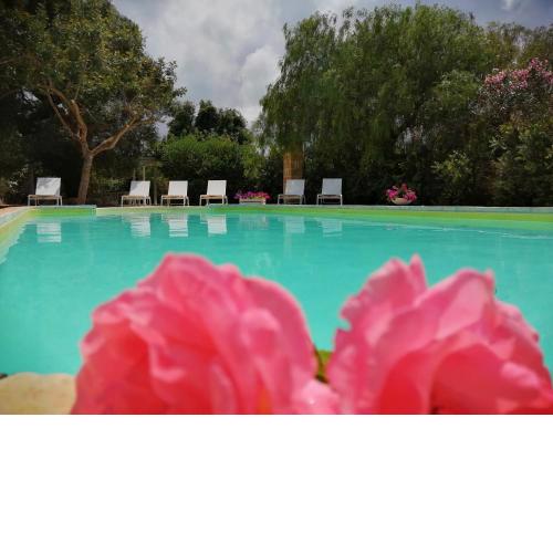 Masseria Pugliese Farm