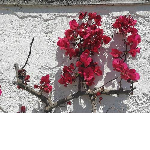 Masseria Semerano appartamento 2