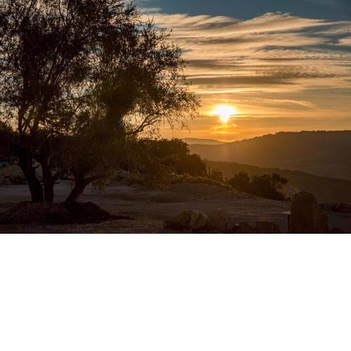 Masseria Straziuso - La Vaccariccia