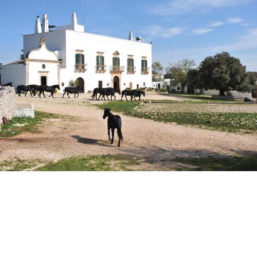 Masseria Tagliente