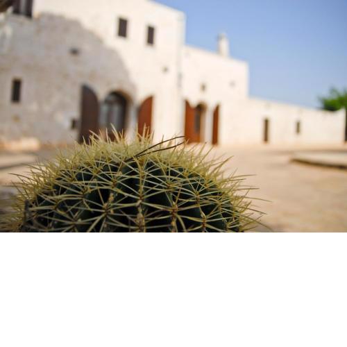 Masseria Valente