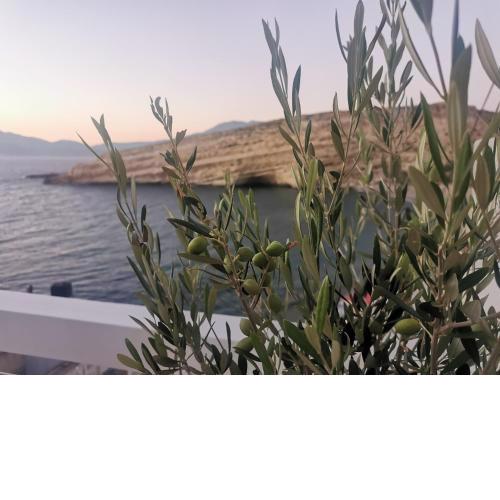 Matala home Golden View