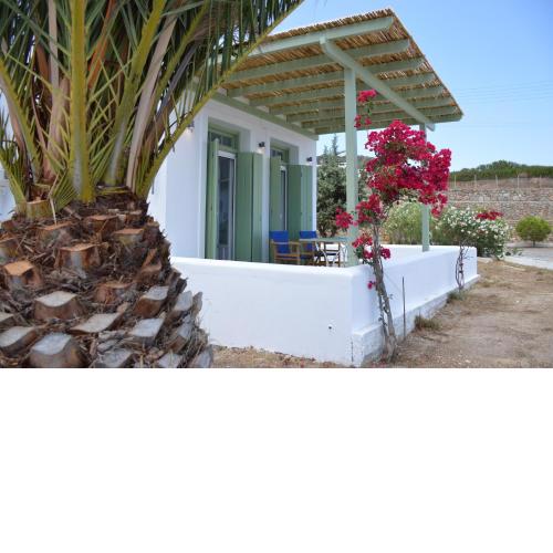 Maximos House
