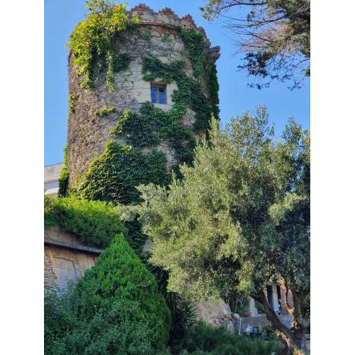 Medieval tower & villa by the sea