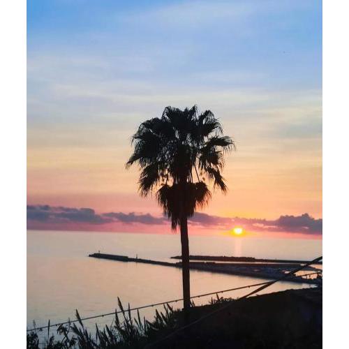 Mediterraneo Travel