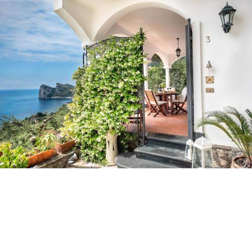 Medusa And The Seahorse Villa