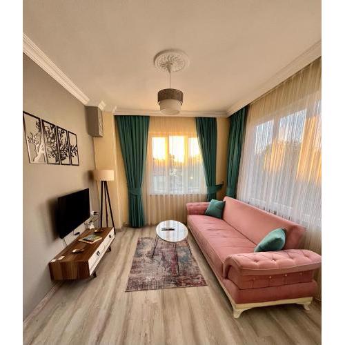 MEK HOMEs 1
