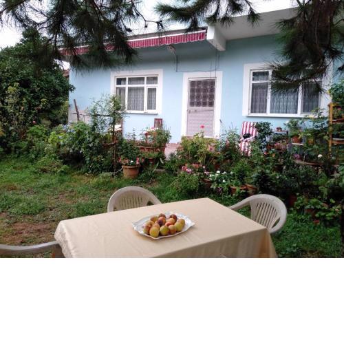 MERDOĞLU MALİKANESİ