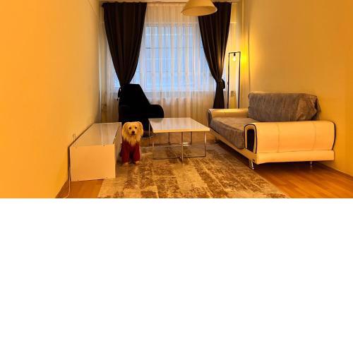 Merkezi konumda modern daire
