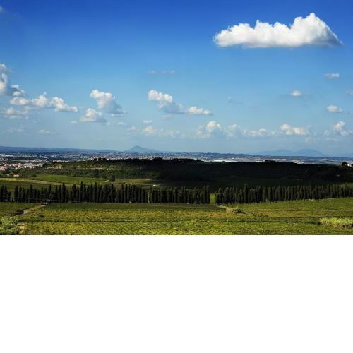 Merumalia Wine Resort