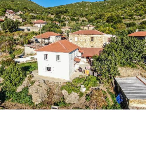 Metaxada Casa - Naturel Living