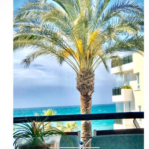 MI CAPRICHO BEACHFRONT- P302 Apartment with sea view