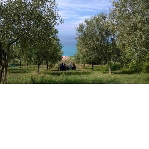 Microfattoria Meré