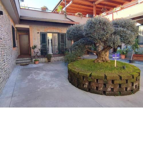Midway House Italy