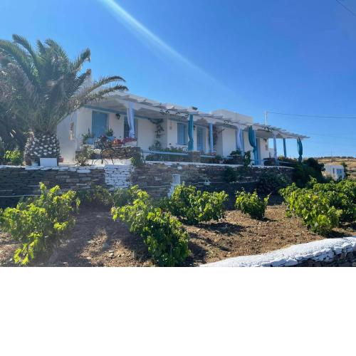 Mihaela Apartments Sifnos