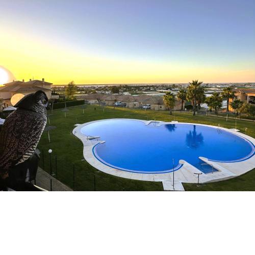 Mika's House Pool