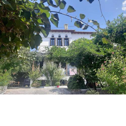 MILIES - PELION VILLA