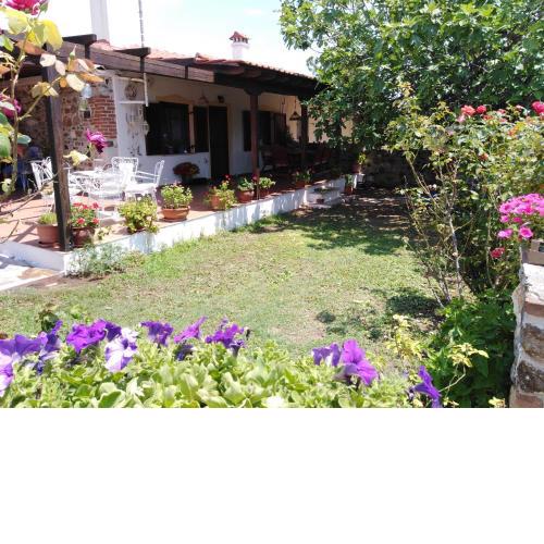 Millers Guest House