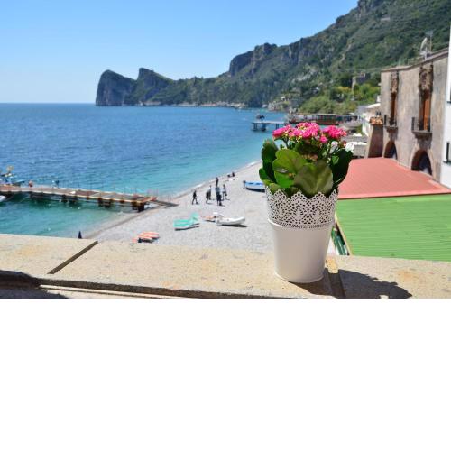Mimì sul Mare