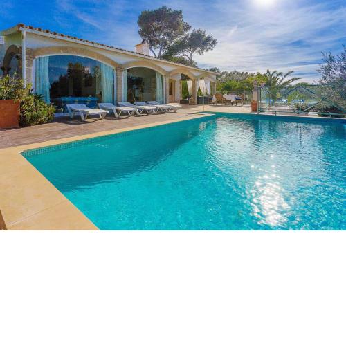 Mimosa - Alcudia