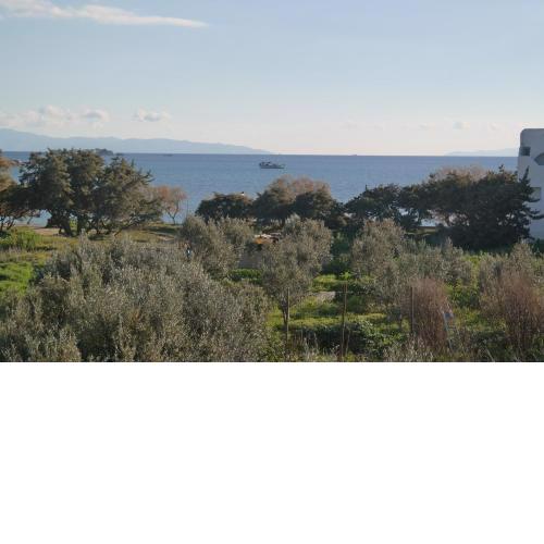 Mina's Studios in Naxos Island
