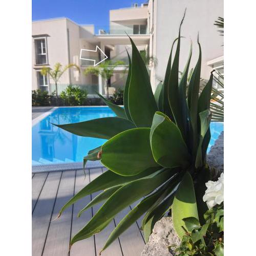 MINERVA LUXURY TOWN CENTER , POOL AND PARKING