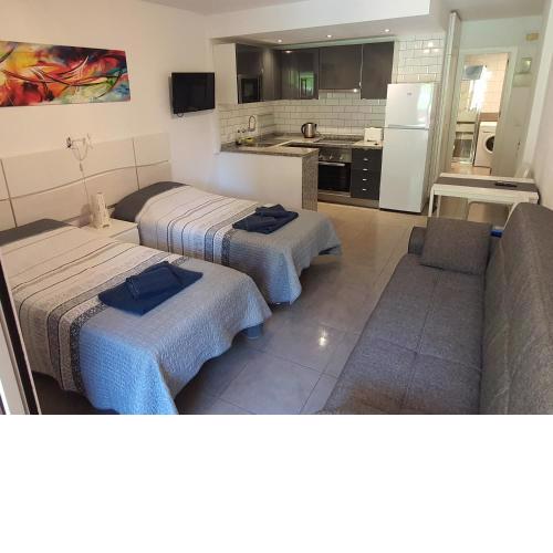Minerva Suite