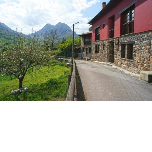 Mirador del Oso