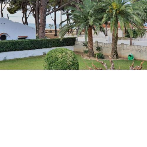 Miramar Serveis - Estudio A/C, Terraza y 30m de la playa