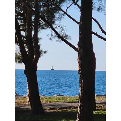 miramare appartamento sogno sul mare