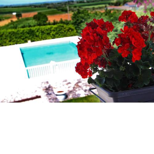 Miramurgia B&B
