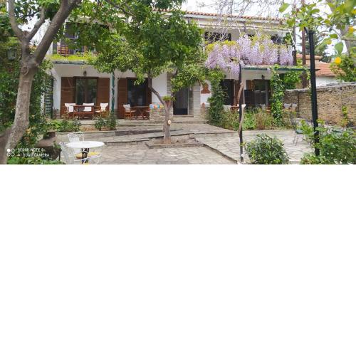 Mirto Apartments