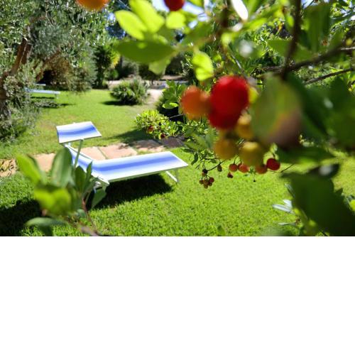 Missipezza Residence a Frassanito
