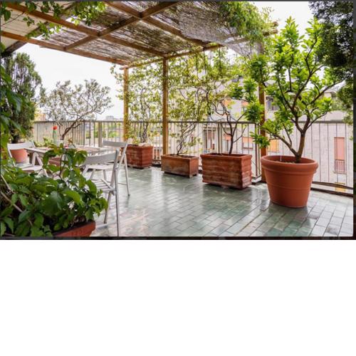 Mita Milano Roof Garden