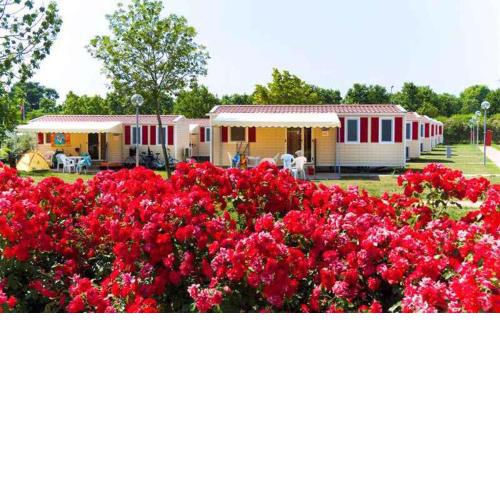 Mobilehomes in Sirmione/Gardasee 22177
