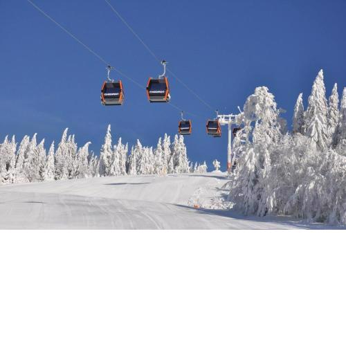 Mobilheime