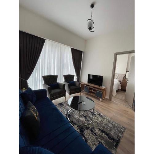 Modern 1-bedroom apartment near Mall of Istanbul - 105 gunesli 10