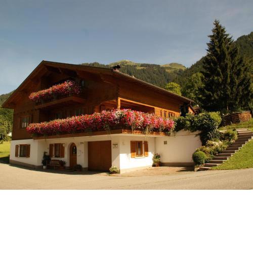 Modern Apartment in Sankt Gallenkirch with Terrace