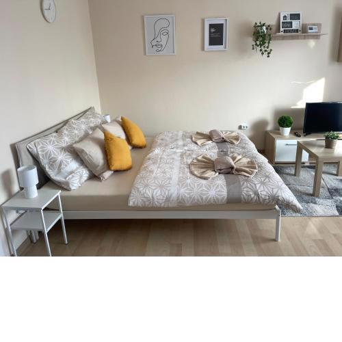 Modern Living Apartment