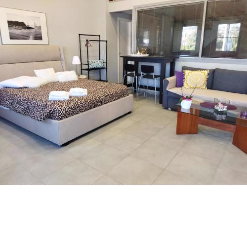 Modern & Spacious , Near Airport, Queen Bed, Pkg