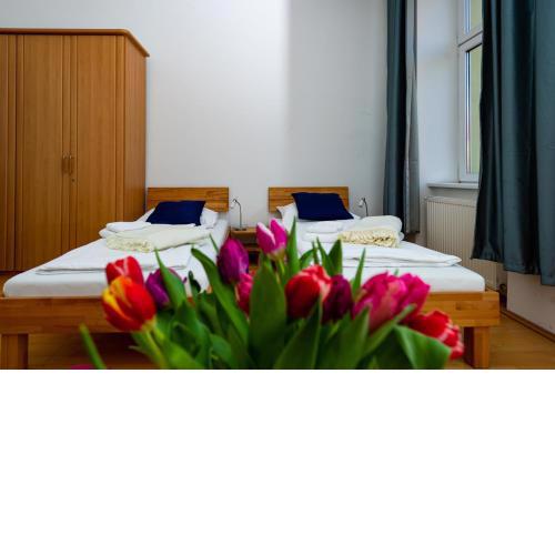 Moderne 2-Zimmer Wohnung in Wien