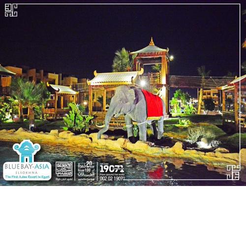 Mohamed Afifi BlueBay Asia - Families - Ground 2 Bed Rooms