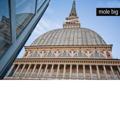 Mole big