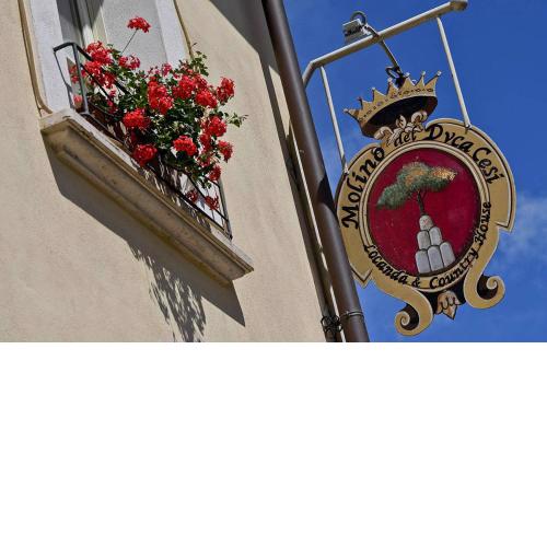 Molino Del Duca Cesi
