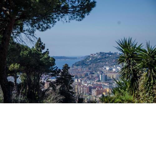 Molly's House Appartamento a Posillipo