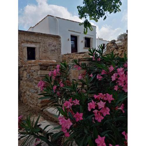 Monitsia Traditional House