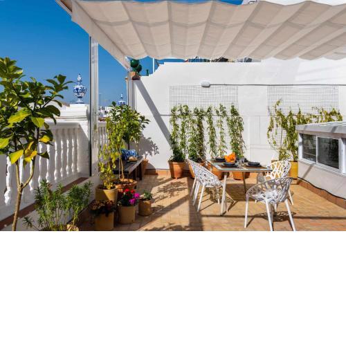 MonKeys Luxury Penthouse Pureza Chill Out